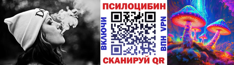 Галлюциногенные грибы Psilocybine cubensis  Купить закладки  Северо-Курильск 